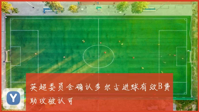 英超委员会确认多尔古进球有效B费助攻被认可